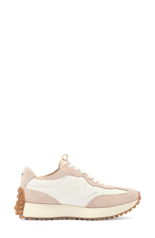 Shop Steve Madden Campo Sneaker In Beige Multi/beige