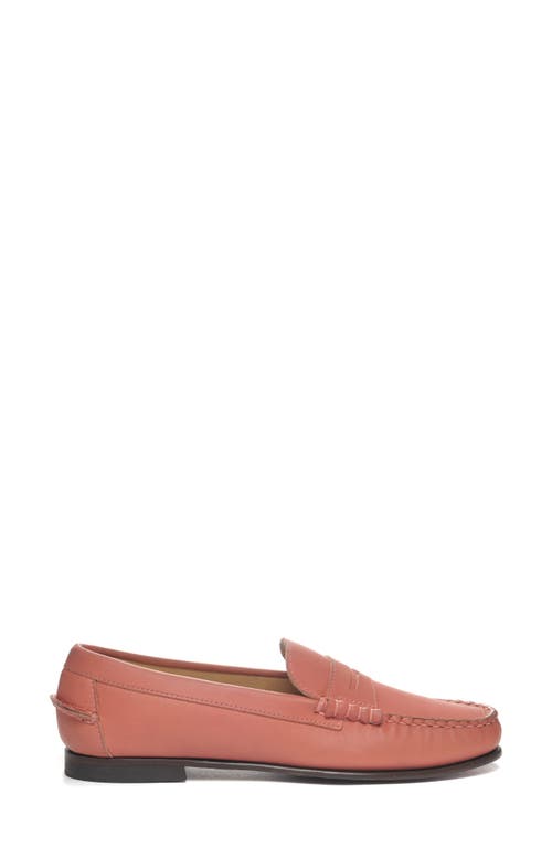 Shop Sebago Danielle Pop Loafer In Chiffon