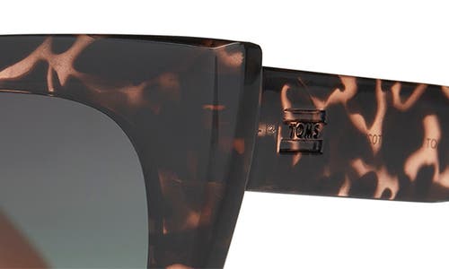 Toms Sydney 50mm Gradient Small Cat Eye Sunglasses In Tortoise Apricot Crystal Fade