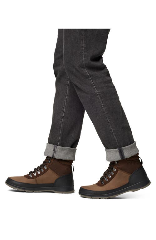 Sorel Men's Ankeny Ii Hiker Wp Boot In Brown/black In Tobacco/black