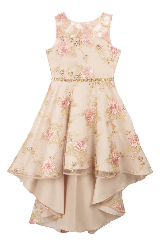 Kids Floral Embroidered Dress