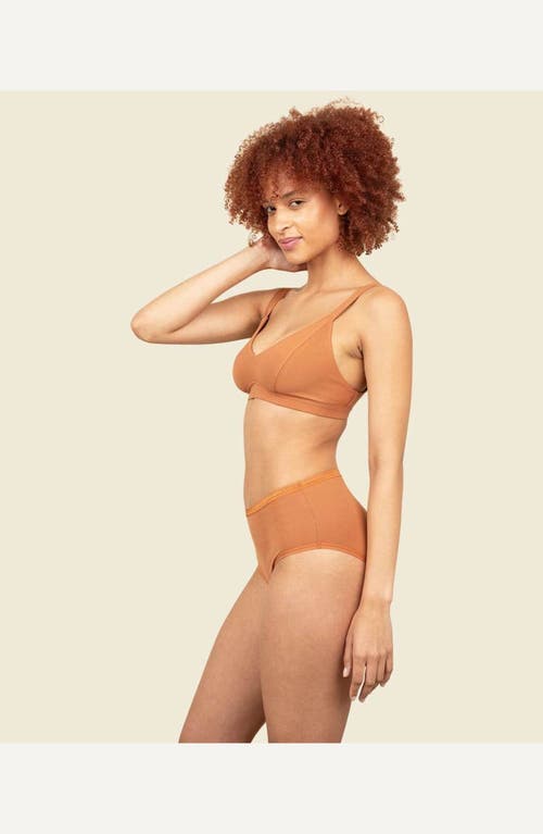 Subset Triangle Soft Bra In Spice