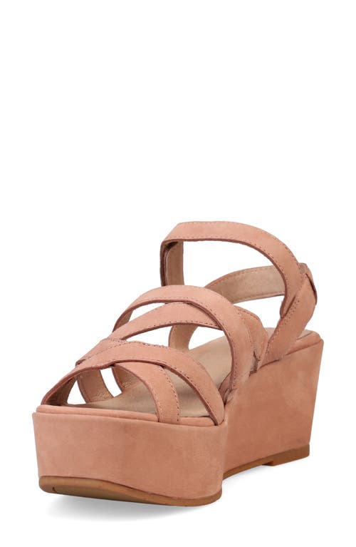 Eileen Fisher Mazy Suede Strappy Wedge Sandals In Latte