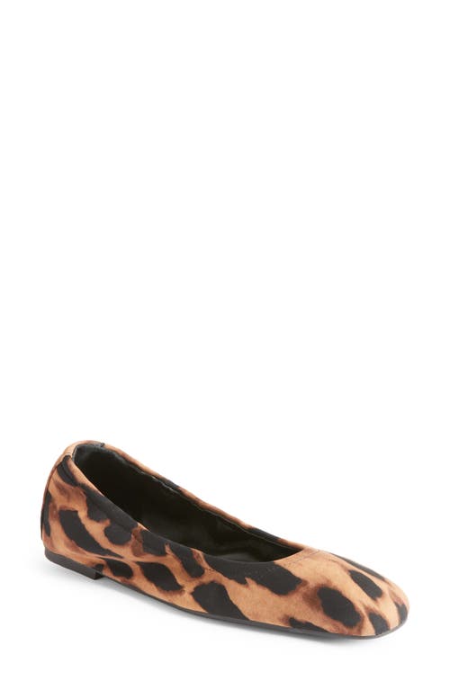 Stuart Weitzman Leopard Print Ballet Flat Classic at Nordstrom,