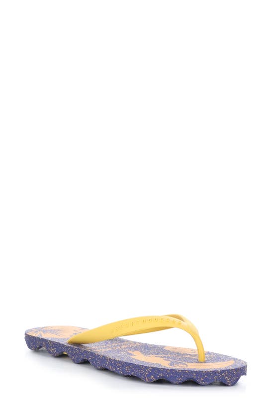 Asportuguesas By Fly London Amazonia Flip Flop In Blue/ Yellow Rubber