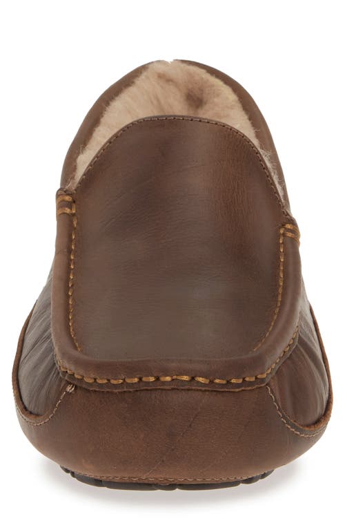 Shop Ugg(r) Ascot Leather Slipper In Tan Leather