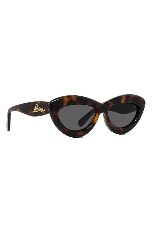 Shop Loewe Curvy 54mm Cat Eye Sunglasses In Dark Havana/smoke