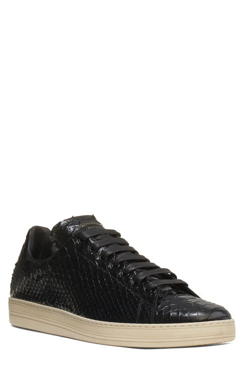 Shop Tom Ford Warwick Python Embossed Low Top Sneaker In Black/cream