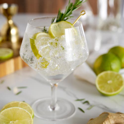 Viski Raye Crystal Gin & Tonic Glasses Set Of 4 In Clear