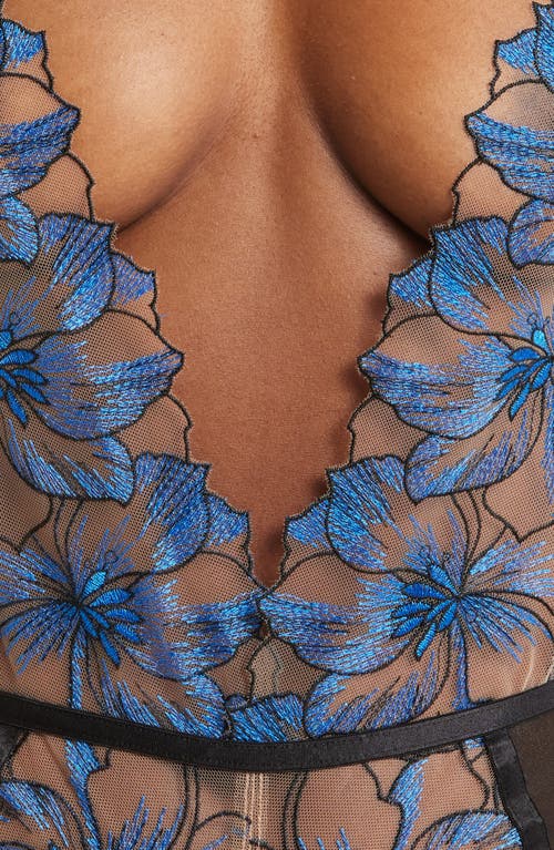 Shop Bluebella Lyandra Embroidered Mesh Teddy