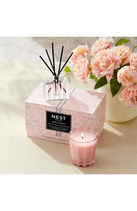 Shop Nest New York Himalayan Sea Salt & Rosewater Petite Candle & Diffuser Set