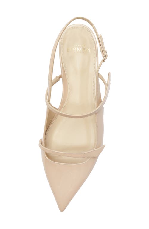 Shop Alexandre Birman Tita Pointed Toe Slingback Flat In Semolina