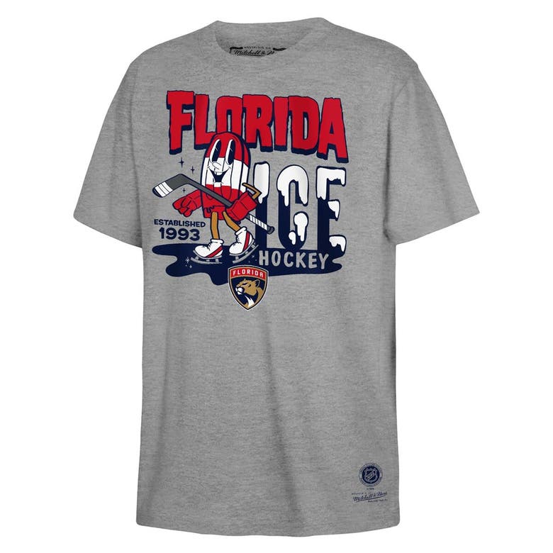 Shop Mitchell & Ness Youth  Gray Florida Panthers Popsicle T-shirt