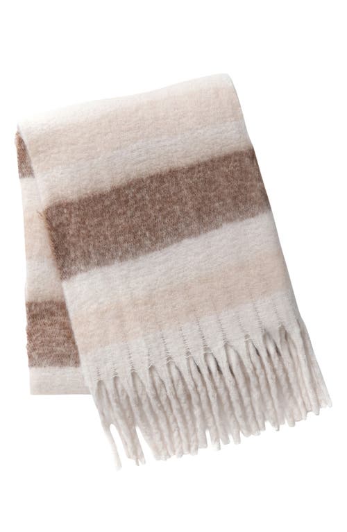 Soia & Kyo Oversize Fringe Scarf In Hush