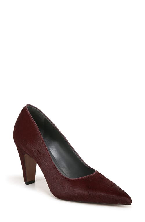 Shop Sarto By Franco Sarto Sage Pointed Toe Pump In Bordo