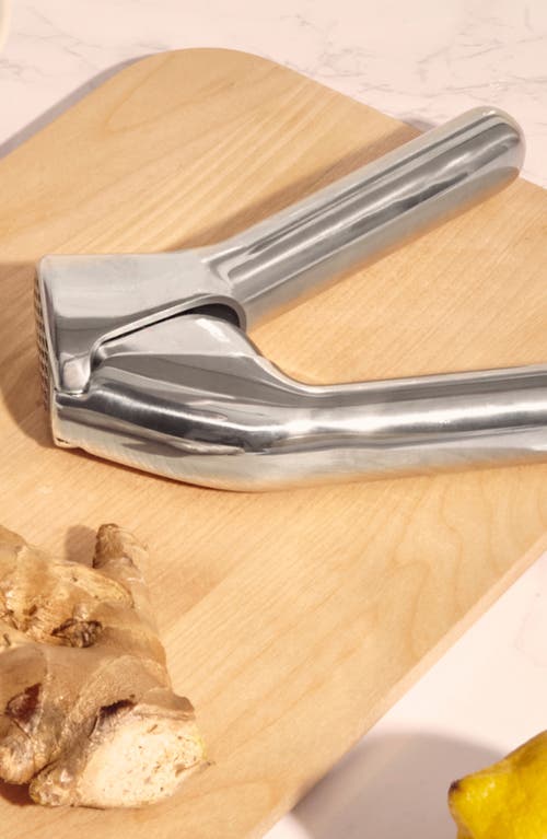 Caraway Garlic Press In Silver