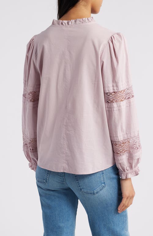 Shop Caslonr Caslon(r) Lace Inset Long Sleeve Cotton Top In Purple Dawn