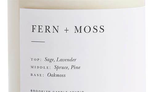 Brooklyn Candle Studio Fern + Moss Scented Jar Candle In Fern Moss