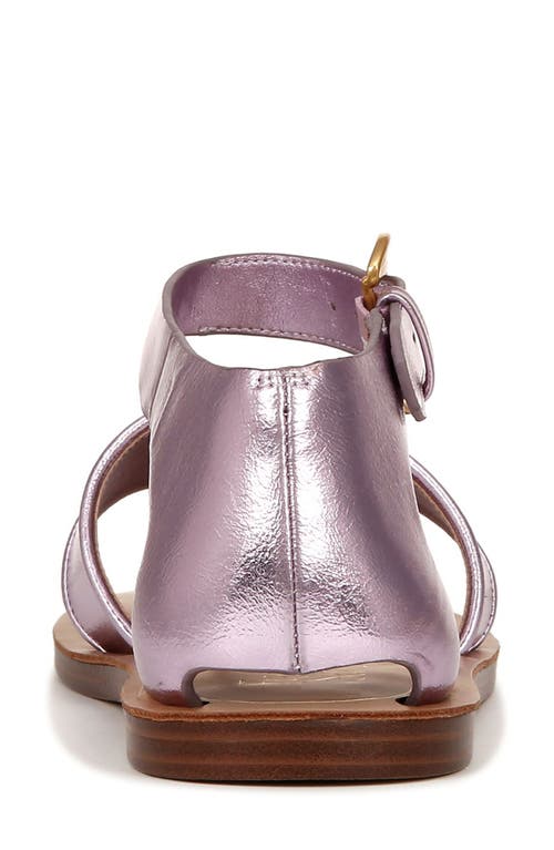 Shop Franco Sarto Ruth Ankle Strap Sandal In Purple Pink