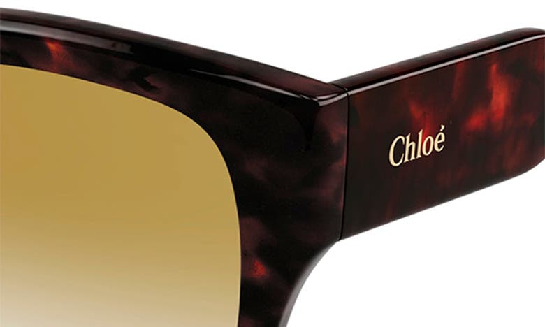 Shop Chloé 55mm Square Sunglasses In Havana
