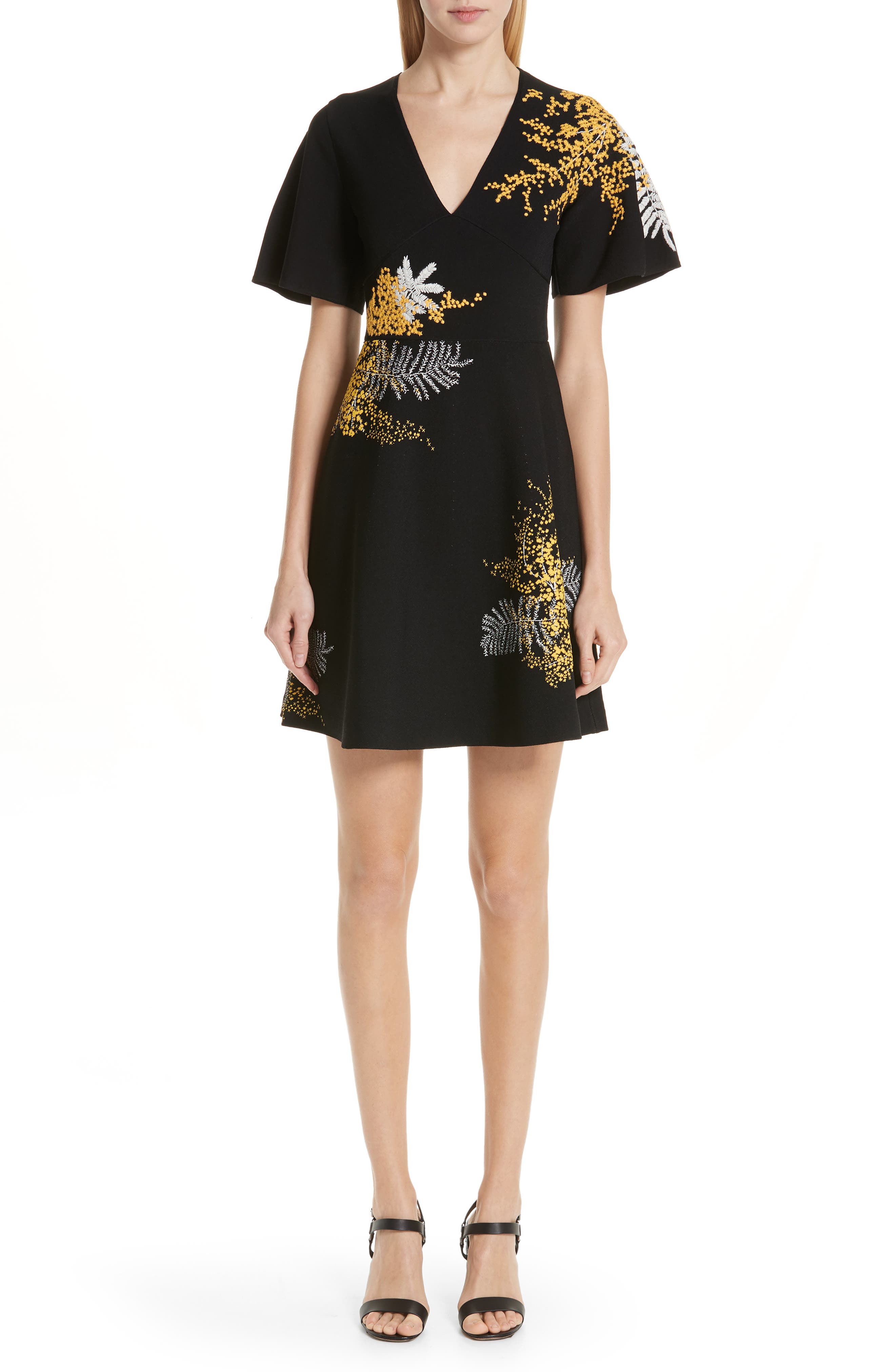 Valentino Mimosa Embroidered Fit & Flare Dress, Black