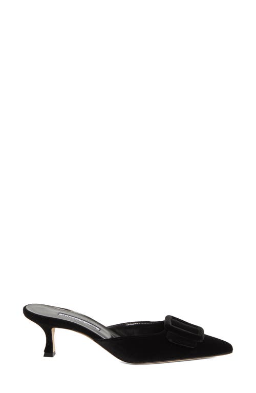 Manolo Blahnik 50mm Maysale Velvet Mules In Black