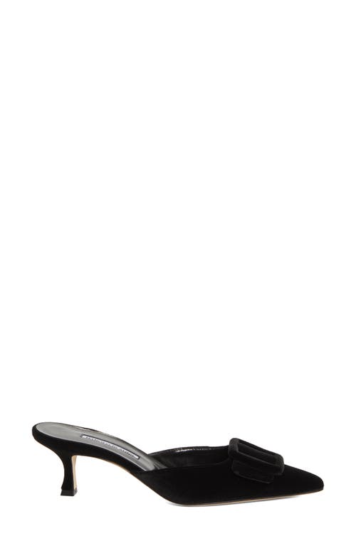 Shop Manolo Blahnik Maysale Buckle Pointed Toe Mule In Black