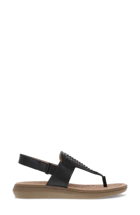 Baretraps Quincy T-strap Sandal In Black