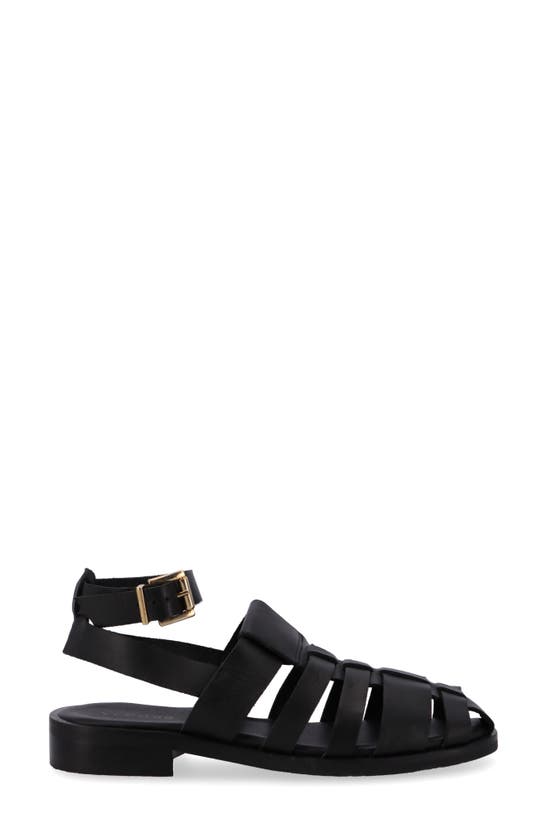 Shop Alohas Perry Ankle Strap Fisherman Sandal In Black