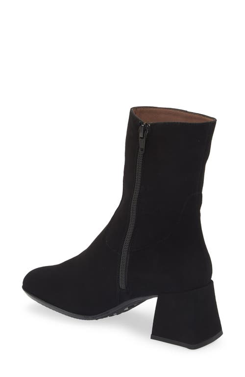Wonders Block Heel Bootie In Black Suede