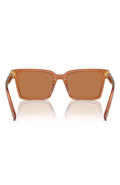 Miu Miu 55mm Rectangular Sunglasses In Brown