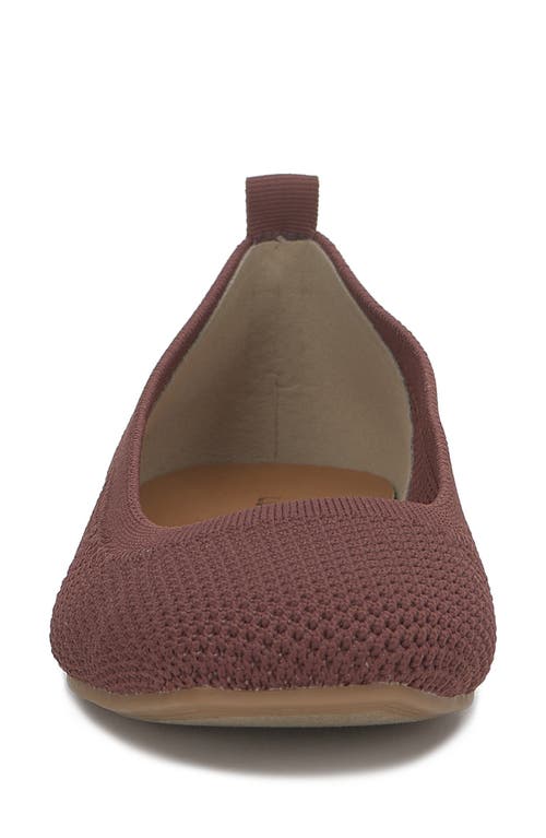 Shop Lucky Brand Daneric Ballet Flat In Brownstone