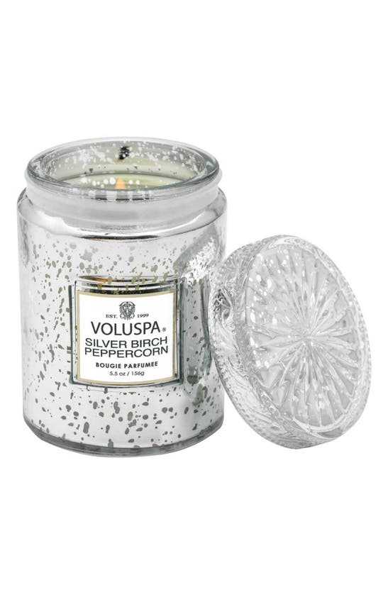 Voluspa Silver Birch & Peppercorn Small Jar Candle In Silver Birch
