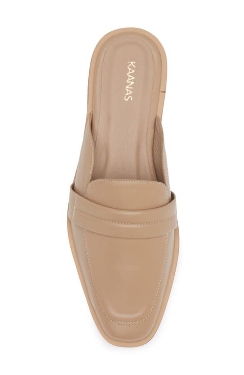Kaanas Square Toe Mule In Almond