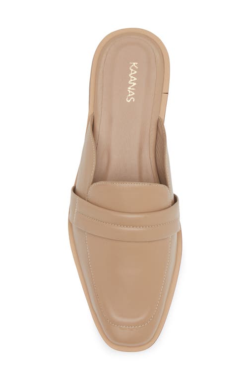 Shop Kaanas Square Toe Mule In Almond