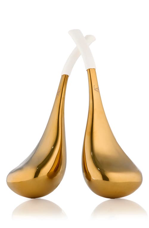 Angela Caglia Gold Cryo Facial Set In No Color
