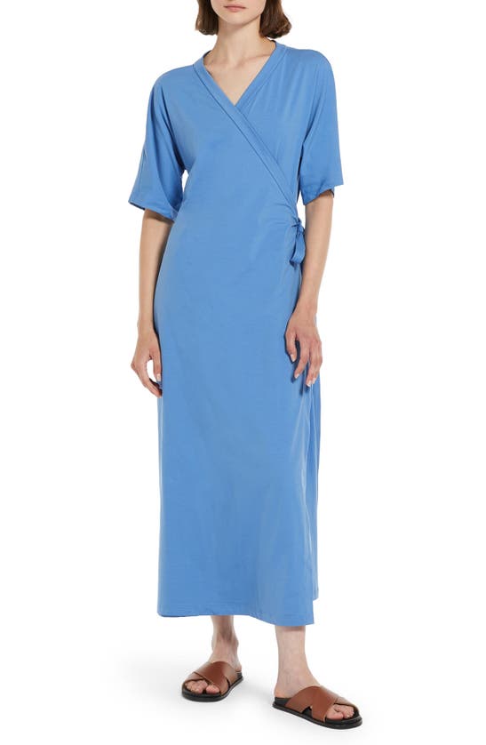 Shop Max Mara Pisano Maxi Wrap Dress In Sky Blue