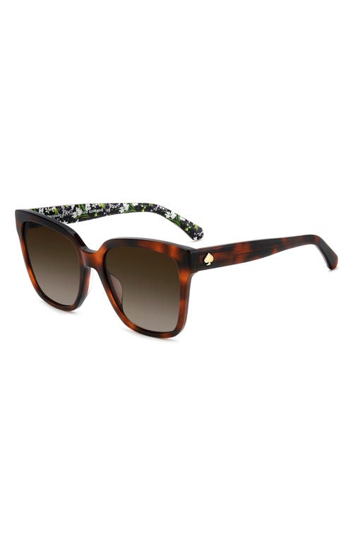 Kate Spade New York Kiya 56mm Gradient Square Sunglasses In Brown