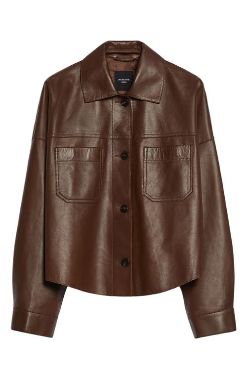 Shop Weekend Max Mara Buono Leather Shirt Jacket In Tobacco