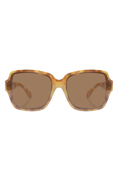 AIRE Fortuna 63mm Square Sunglasses in Vintage Tortoise 