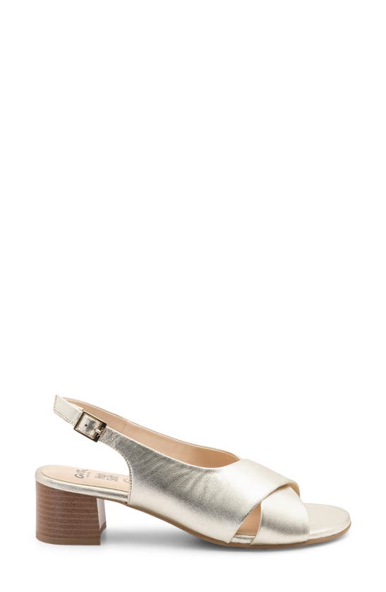 Ara Petunia Slingback Sandal In Platinum Metallic Calf
