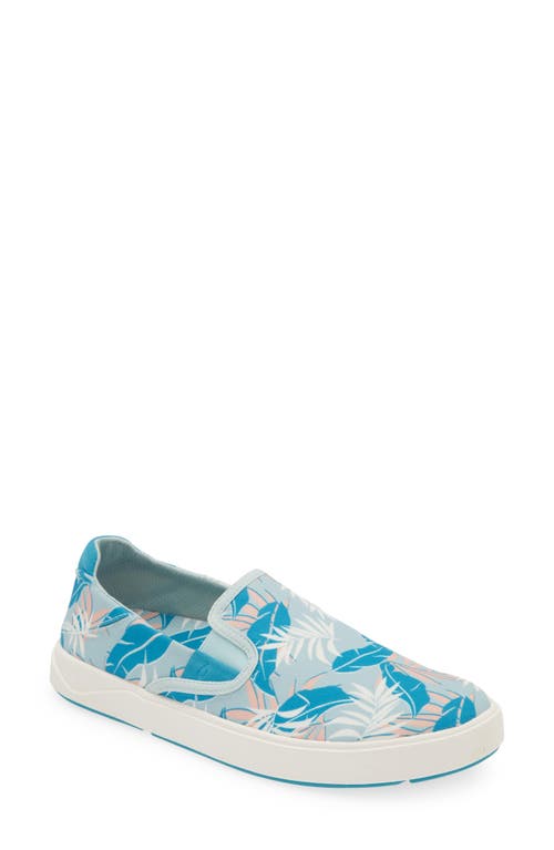 Olukai Lae'ahi Pa'i Slip-on Sneaker In Swell/aloha