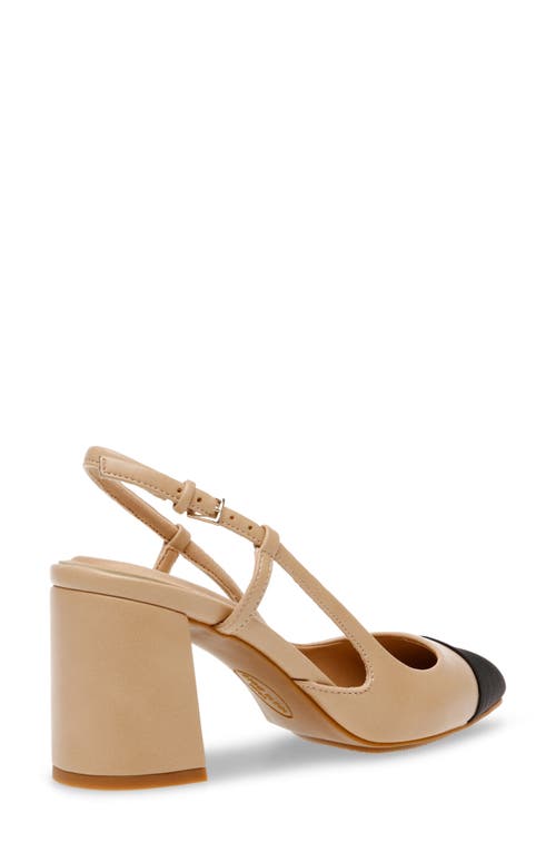 Anne Klein Brinlee Pointed Toe Pump In Nude/black