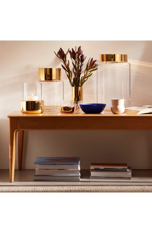 Lsa Aurum Vase In Clear/gold