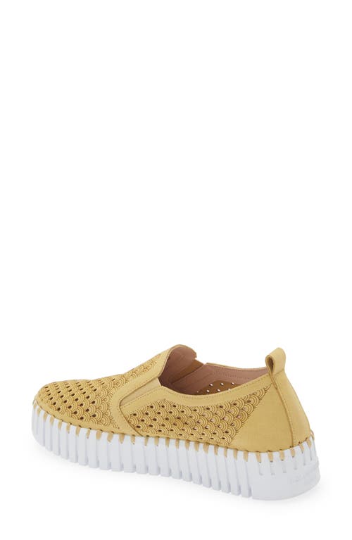 Shop Ilse Jacobsen Tulip Slip-on Sneaker In Citronella