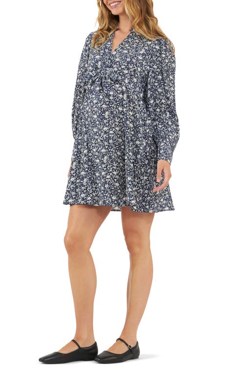 Shop Ripe Maternity Thea Long Sleeve Tie Waist Maternity/nursing Dress In Navy/white