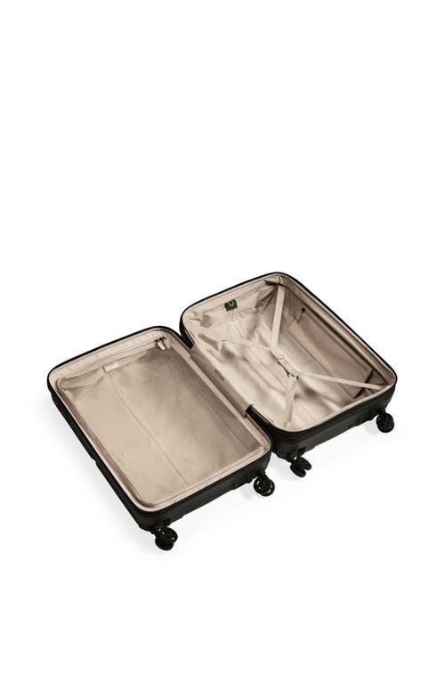 Antler Single Stripe Medium In Black