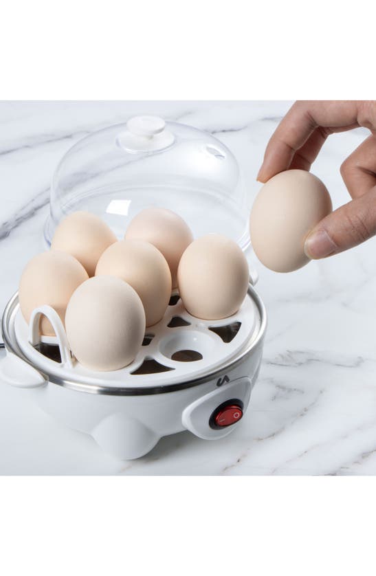 Shop Uber Appliance Egg Cooker In White