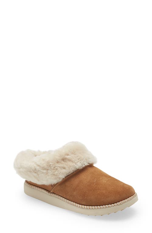 Shop Olukai Genuine Shearling Slipper In Tan/bone