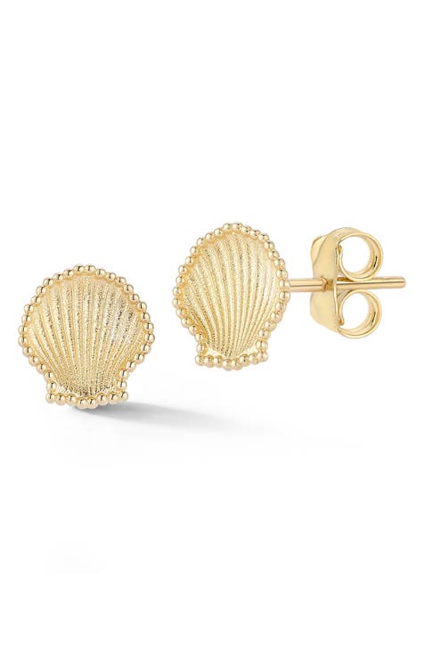 14K Gold Sea Shell Stud Earrings
